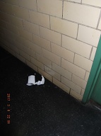 EVERY SINGLE DAY THE APARTMENT 2C DRUG DEALERS PLACE THEIR FILTHY SWILL ON OR IN FRONT OF MY APARTMENT DOOR AND THE N.Y.C.H.A JUST LOOKS THE OTHER WAY!!