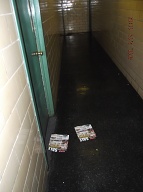EVERYONE AND ANYONE CAN JUST ENTER AND TRESPASS EVERYWHERE INSIDE OF THESE NYCHA BUILDINGS TO BUY OR CONSUME ILLEGAL DRUGS OF LEAVE THEIR UNWANTED ADVERTISEMENTS!!