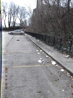 This Is The Super Filthy Rat Farm One Parking Lot Of The Richmond Terrace Houses Mismanaged By The New York City Housing Authority!!