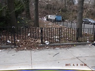 This Is The Super Filthy Rat Farm One Parking Lot Of The Richmond Terrace Houses Mismanaged By The New York City Housing Authority!!
