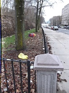 This Nasty Filth On The Even Side Of Jersey Street Goes All The Way Down To Richmond Terrace!!