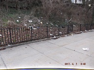 This Nasty Filth On The Even Side Of Jersey Street Goes All The Way Down To Richmond Terrace!!