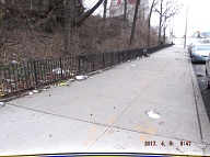 This Nasty Filth On The Even Side Of Jersey Street Goes All The Way Down To Richmond Terrace!!