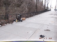 This Nasty Filth On The Even Side Of Jersey Street Goes All The Way Down To Richmond Terrace!!