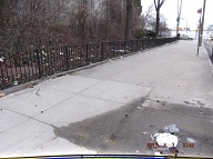This Nasty Filth On The Even Side Of Jersey Street Goes All The Way Down To Richmond Terrace!!