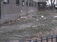 This Nasty Filth Is At The Rear Of 456 Richmond Terrace!!