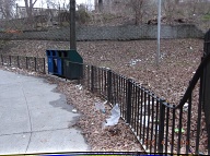 This Nasty Filth Is At The Rear Of 456 Richmond Terrace!!
