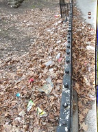 This Nasty Filth Is At The Rear Of 456 Richmond Terrace!!