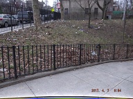 This Nasty Filth Is At The Rear Of 456 Richmond Terrace!!