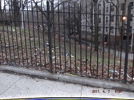 This Nasty Filth Is At The Rear Of 456 Richmond Terrace And Along Weltervelt Avenue!!