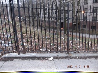 This Nasty Filth Is At The Rear Of 456 Richmond Terrace And Along Westervelt Avenue!!