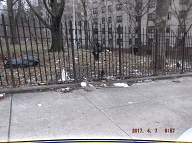 This Nasty Filth Is At The Rear Of 456 Richmond Terrace And Along Westervelt Avenue!!