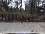 This Nasty Filty Is At The Rear Of 151 Jersey Street And Along  Cleveland Street!!