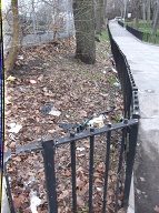 This Nasty Filth Is At The Rear And Side Of 151 Jersey Street Next To The Mayoney Playground!!