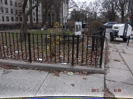 This Nasty Filty Is At The Rear Of 151 Jersey Street And Along Beechwood Avenue!!