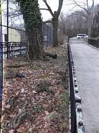 This Nasty Filth Is At The Side Of 151 Jersey Street Next To The Mahoney Playground!!