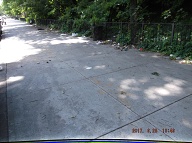 Here Is The Constant Filth Along Rat Farm One On The Even Side Of Jersey Street!!