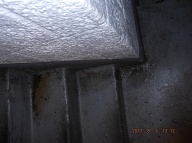 Every Day The Narcotids Customers Urinate In The Stairwells And They Urinate In The Elevators!! And Of Course The NYPD V.I.P.E.R 15 Unit Inside Apartment 1J Continues To " See Absolutely Nothing " On Their Camera Screens!!