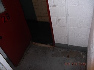 Once Again The Human Vermin Leave Their Urine On The Landing Of Stairwell " B " And Our No Show NYCHA Caretaker Will Just Ignore It!!