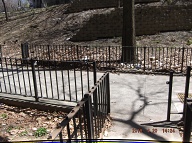 Today Is April 20, 2018 And This Smelly Filthy Rat Farm Three Trash Is At The Rear Of 456 Richmond Terrace Of The N.Y.C.H.A. Richmond Terrace Houses Along Westervelt Avenue!!