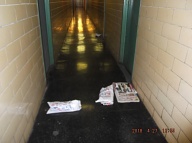 These Photos Were Taken On Friday April 27, 2018 And They Show Once Again That Our " N.Y.C.H.A. No Show Caretaker " Is Not Properly Cleaning This Building. Some Of This Filth Has Been Here For A Week!!