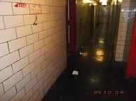 These Photos Were Taken On Friday April 27, 2018 And They Show Once Again That Our " N.Y.C.H.A. No Show Caretaker " Is Not Properly Cleaning This Building. Some Of This Filth Has Been Here For A Week!!
