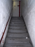 These Photos Were Taken On Friday April 27, 2018 And They Show Once Again That Our " N.Y.C.H.A. No Show Caretaker " Is Not Properly Cleaning This Building. Some Of This Filth Has Been Here For A Week!!