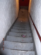 These Photos Were Taken On Friday April 27, 2018 And They Show Once Again That Our " N.Y.C.H.A. No Show Caretaker " Is Not Properly Cleaning This Building. Some Of This Filth Has Been Here For A Week!!