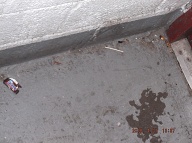 These Photos Were Taken On Friday April 27, 2018 And They Show Once Again That Our " N.Y.C.H.A. No Show Caretaker " Is Not Properly Cleaning This Building. Some Of This Filth Has Been Here For A Week!!
