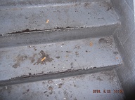 Our " No Show New York City Housing Authority Caretaker " Continues To Collect His Pay But Never Ever Adequate Cleans This Notorious Building!!