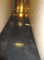 Our " No Show New York City Housing Authority Caretaker " Continues To Collect His Pay But Never Ever Adequate Cleans This Notorious Building!!