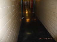 Our " No Show New York City Housing Authority Caretaker " Continues To Collect His Pay But Never Ever Adequate Cleans This Notorious Building!!