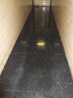 Our New NYCHA CareTaker " Pat " Has Been Placed Here To Properly Clean Our Building Instead Of Waiting Hand And Foot On The Lobby Criminals!!