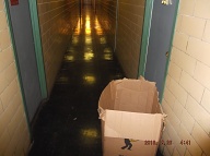 The New Tenant Of Apartment 2B Likes To Leave Her Garbage In The Hallway By Her Door!! Her Very Loud Barking Dog Barks By Her Door At Any Noise Inside Of This Large Apartment Building!! Unfortunately No Quiet Enjoyment At Any Time Anymore!!