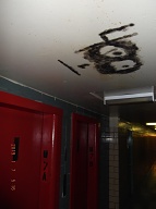 The Violent Young Drug Addicts I Call " Satan's Savages " Have Spread Their " Ugly Turf " To The Upper Floors And Stairwells Of This Very Notorious N.Y.C.H.A. Building!!  Mayor Di Blasio's Police Department Continues To Ignore This Vile Situation!!