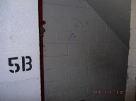 The Violent Young Drug Addicts I Call " Satan's Savages " Have Spread Their " Ugly Turf " To The Upper Floors And Stairwells Of This Very Notorious N.Y.C.H.A. Building!!  Mayor Di Blasio's Police Department Continues To Ignore This Vile Situation!!