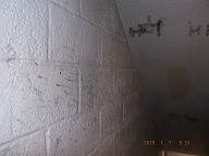 The Violent Young Drug Addicts I Call " Satan's Savages " Have Spread Their " Ugly Turf " To The Upper Floors And Stairwells Of This Very Notorious N.Y.C.H.A. Building!!  Mayor Di Blasio's Police Department Continues To Ignore This Vile Situation!!