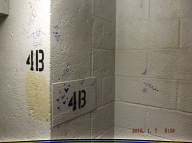 The Violent Young Drug Addicts I Call " Satan's Savages " Have Spread Their " Ugly Turf " To The Upper Floors And Stairwells Of This Very Notorious N.Y.C.H.A. Building!!  Mayor Di Blasio's Police Department Continues To Ignore This Vile Situation!!