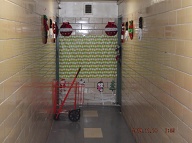 This Is The Brothel And Narcotics Emporium At 131 Jersey Street-Buy And Consume Your Drugs Right Here!!
