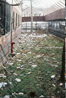 Go Ahead And Throw Your Trash Out Of Your Window!
The Landlord Hates All Of You!