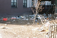 Go Ahead And Throw Your Trash Out Of Your Window!
The Landlord Hates All Of You!