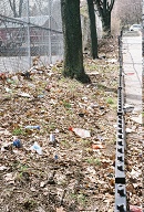 Court Action Was Required To Get This Cleaned Up! In Court Our Landlord Denied It Was His Property!
