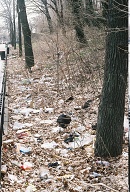 Court Action Was Required To Get This Cleaned Up! In Court Our Landlord Denied It Was His Property!