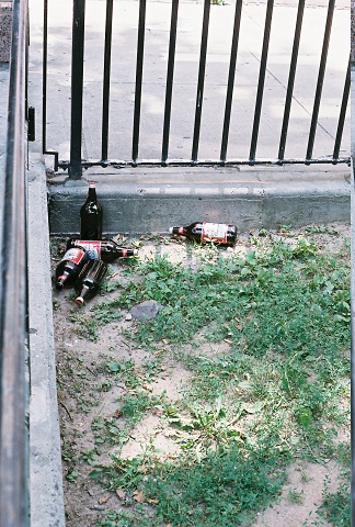 The Slimeball Sanctuary Out Front!