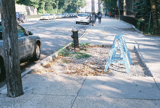 Post Blizzad Damage!