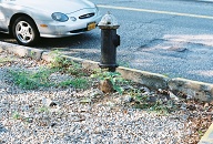 It Has Been Over A Year And This Sidewalk Has Yet To Be Fixed!