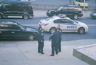 Criminal Activity And Mayhem Are Always Present At This Very Notorious Zoo York Wild Kingdom Apartment Building!