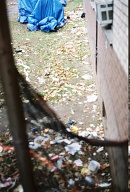 Go Ahead And Throw Your Trash Out Of Your Window! The Landlord Hates All Of You!