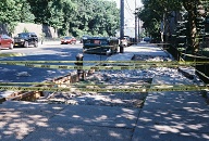 The DOT Says A Ruptured Sewer Line Caused This Sidewalk To Collapse But The DEP Continually Ignores Them!! Who Knows How Long The NEW Sidewalk Is Going To Last After It Is Finally Laid Down??