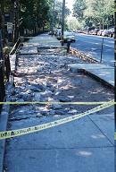 The DOT Says A Ruptured Sewer Line Caused This Sidewalk To Collapse But The DEP Continually Ignores Them!! Who Knows How Long The NEW Sidewalk Is Going To Last After It Is Finally Laid Down??